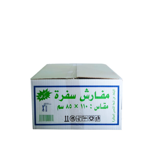 سفرة دان (كرتون)